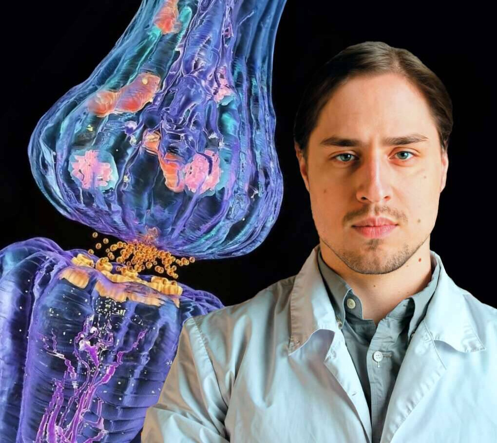 Узнайте у нейробиолога Владимира Алипова