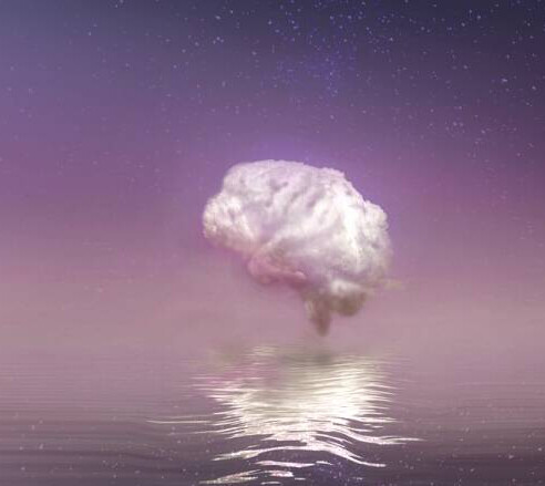 Вячеслав Дубынин