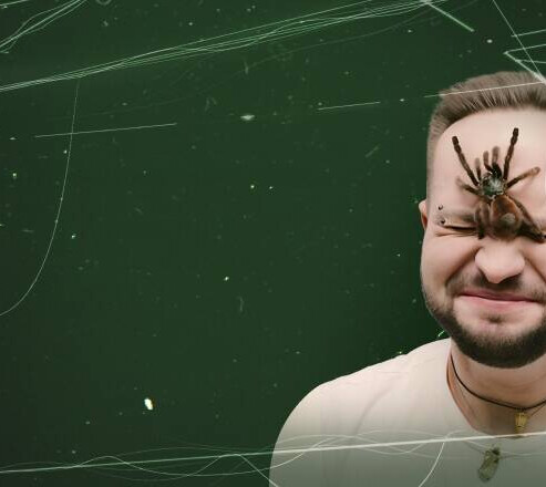 Илья Гомыранов