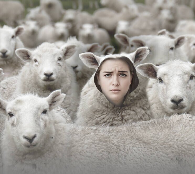 Елена Новоселова